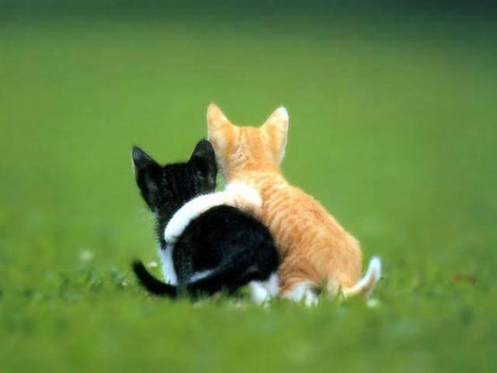 hug