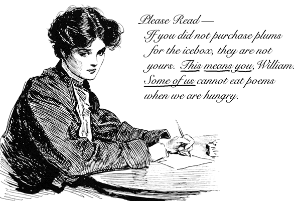 William Carlos Williams apology William Carlos Williams apology
