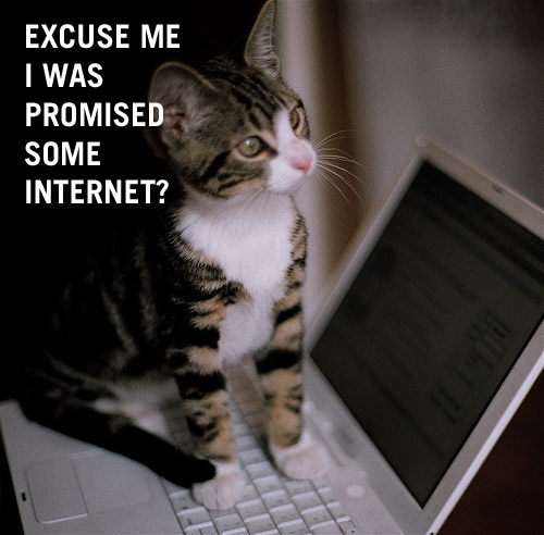 INTERNET