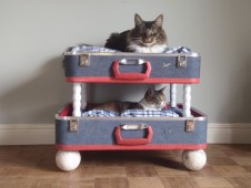 Cat bunk bed