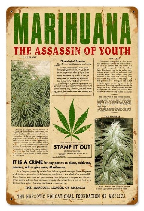 marihuana-assassin.jpg
