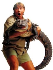 steve-irwin
