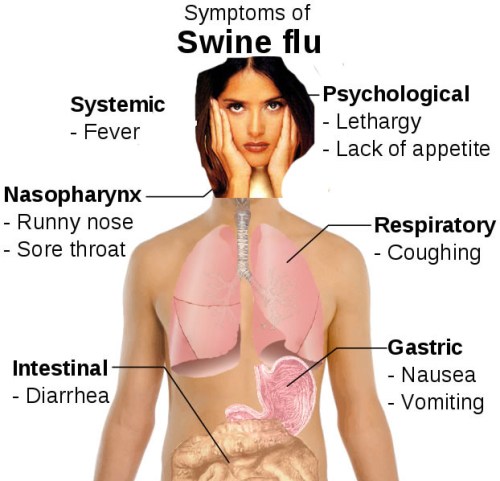 swine-flu-symptoms