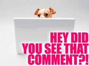 commenter-friday-72309