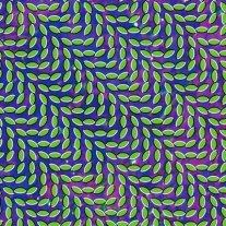 Animal_collective_merriweather