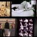 14 Lesbian & Genderqueer Tumblrs To Watch