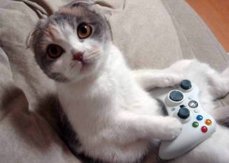 gamerKitty