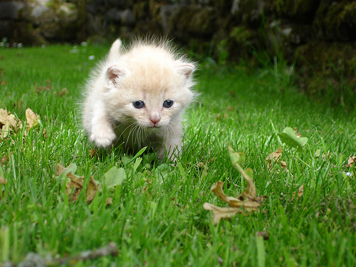 its-ok-dont-run-away