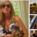 It Gets Better: 23 Lesbians, 10 Animals, 2 Children, 1 Message (#itgetsbetter)
