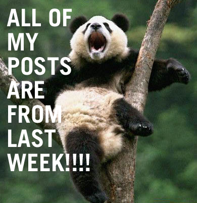 MY-POSTS