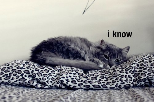 iknowbed