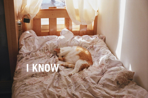 iknowbed