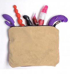 zomi case