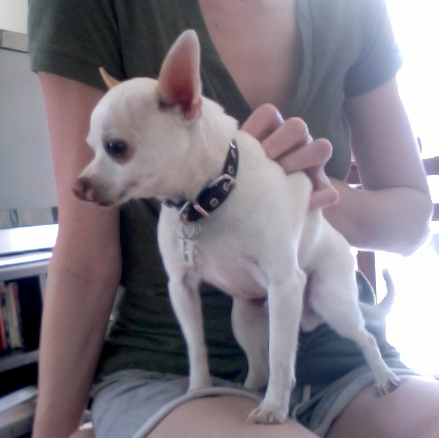 TINKERBELL
