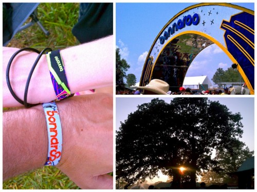 bonnaroo collage