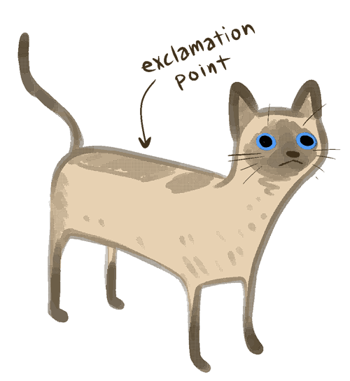 nedroidnewcat