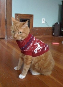 cat_ski_Sweater