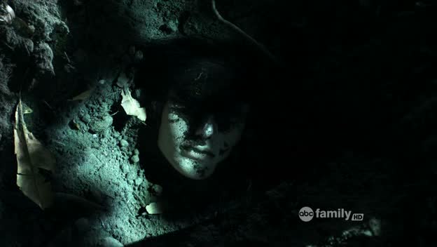 PLL212-00246