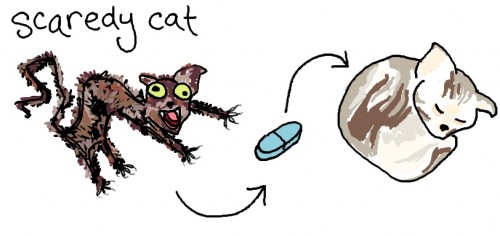cats