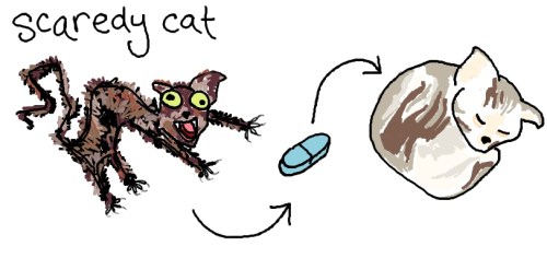 cats