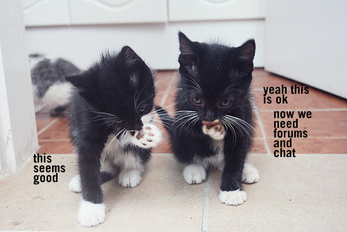 forumschat