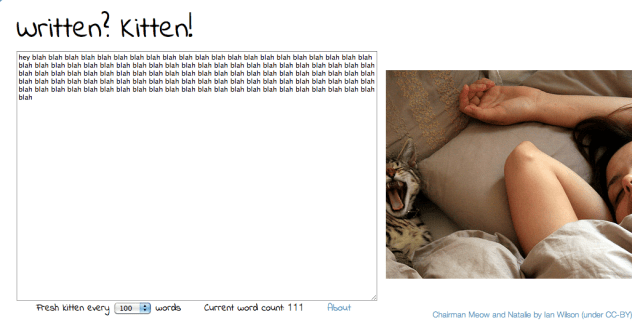 written kitten