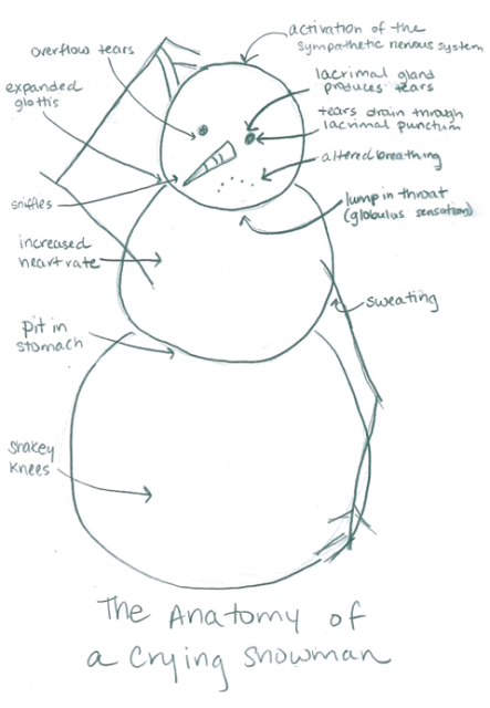 anatomy_of_a_crying_snowman