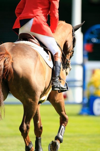 equi_boots