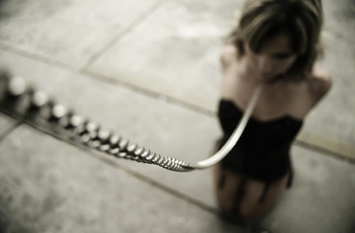 leash