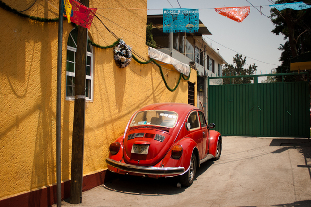 Mexico City Bug on the Street