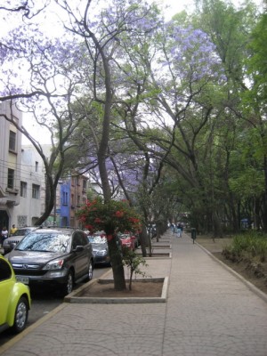 Mexico City Parque Mexico