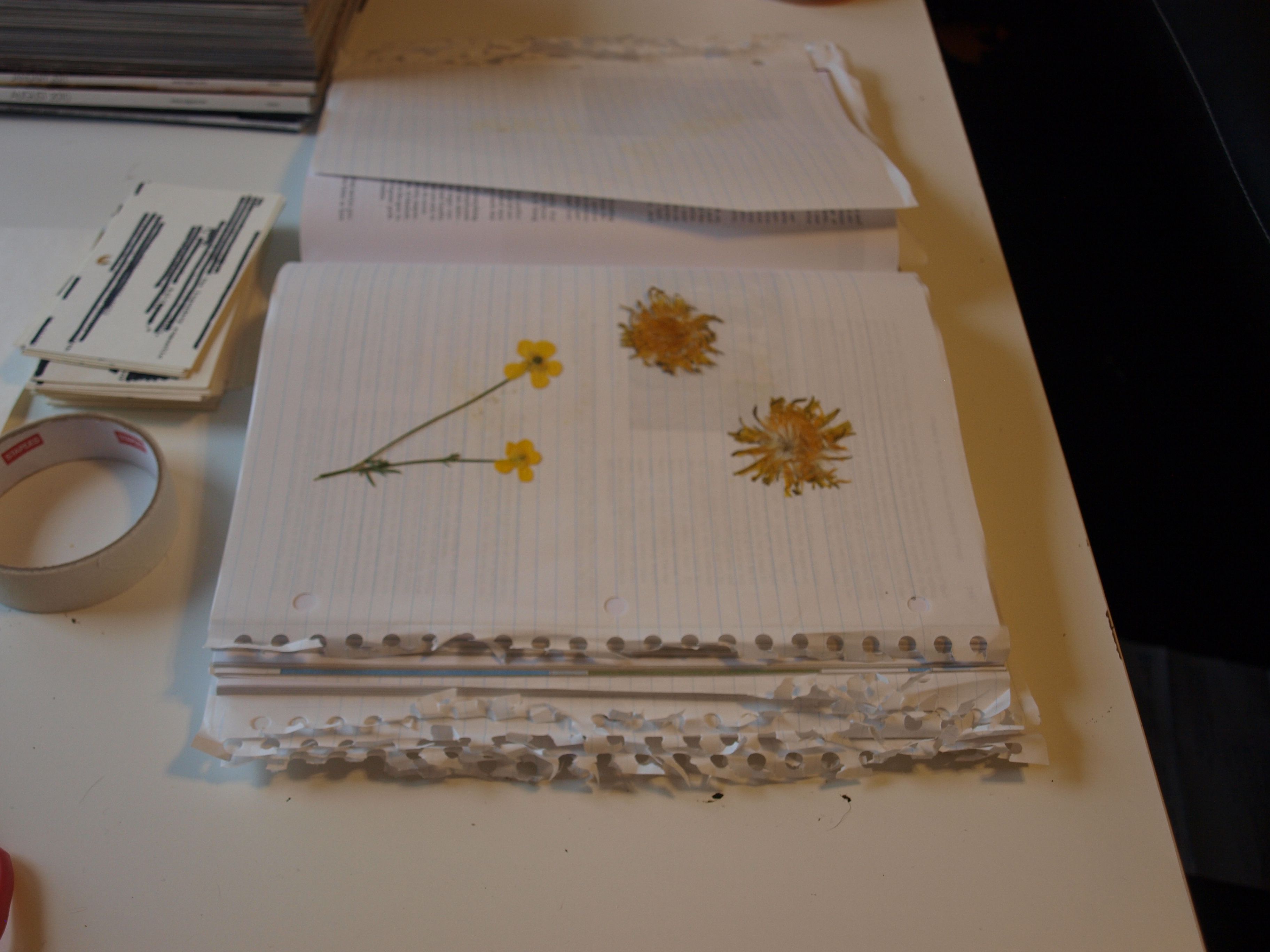 Let's Pick Flowers, Save Flowers, Make FlowerSaving Books Together Autostraddle