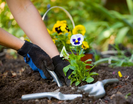 gardening