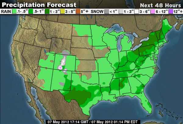 forcast