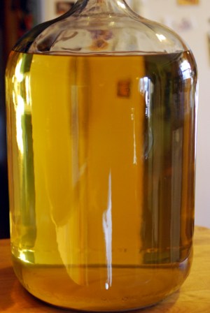 Dandelion Wine Final