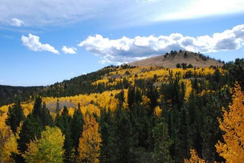 IMAGE THREE - Switchbacks up Hwy 285 DENVER COLORADO