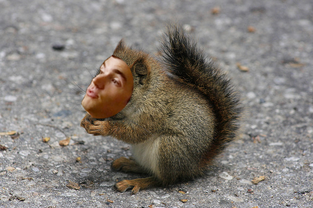 ezra is a squirrel