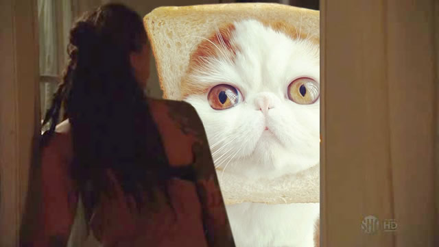 its-bread-hat-cat