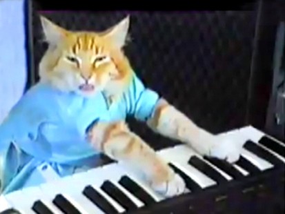 piano-cat
