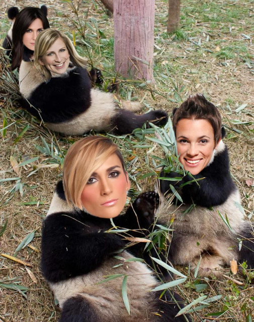celesbipandas