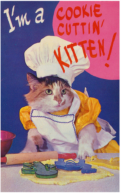 cookie kitten via the pie shops on flickr