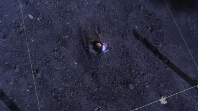 when buffy digs herself out of her grave