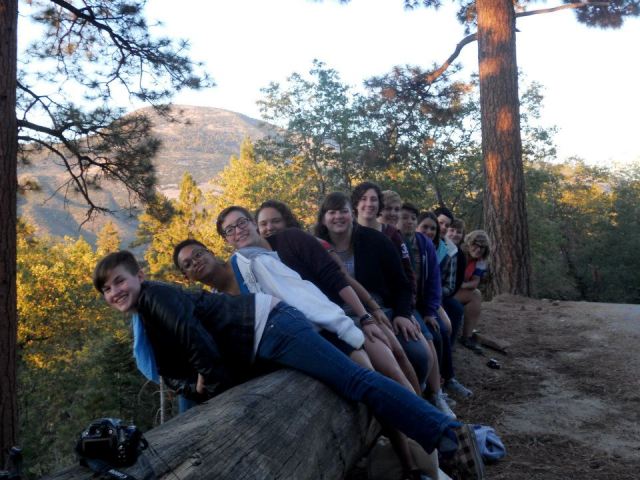 logging