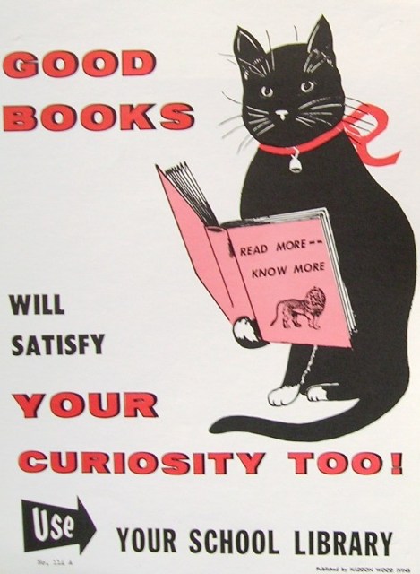 read-more-know-more-via-brainpickings