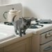 How To Clean Your House Naturally Using Stuff You Probably Already Have