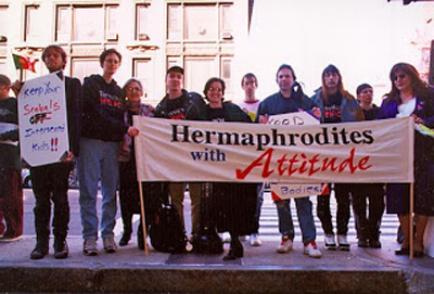 hermaphrodites_with_attitude