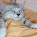 25 Reasons I’m Finally Starting to Enjoy Being Single (Besides Sleeping Around)