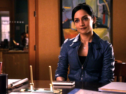 Top 10 Queer Female Television Characters of 2012 ...