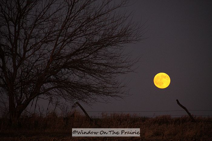 via windowontheprairie.com I'm just going to fill this post with artsy pictures of the prairies at night