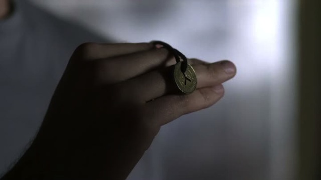 THE BIRD IS CONNECTED TO THE RING ONLY BY ITS WING TIPS. I SUDDENLY RECOGNIZE IT. A MOCKINGJAY.